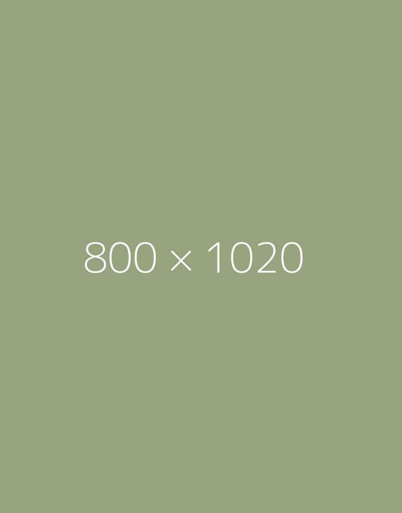 hongo 800x1020-b-ph